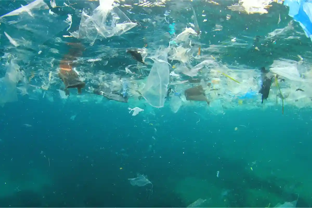 Не переработанный мусор попадет в океан. Фото: shutterstock.com.