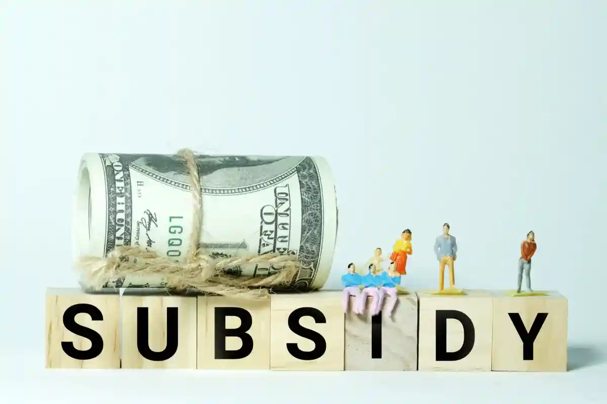Слово «субсидии» из кубиков Фото: Najmi Arif/Shutterstock.com