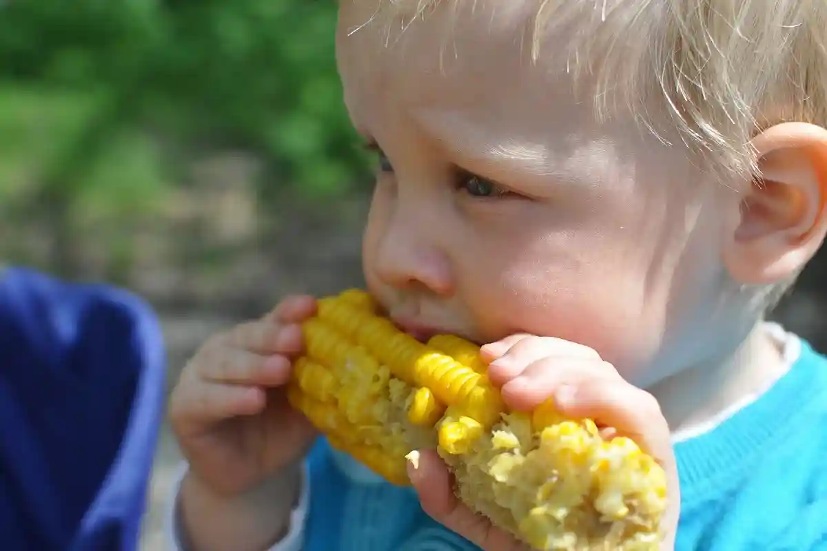 Ребенок ест кукурузу. Фото: vikvarga / Pixabay.com