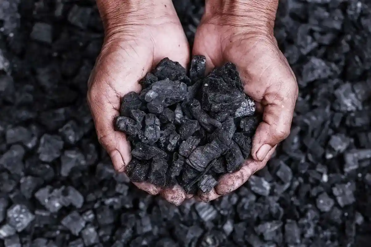 Премьер-министр Саксонии Михаэль Кречмер резко раскритиковал план светофорной коалиции по досрочному отказу от угля в 2030 году. Фото: small smiles / Shutterstock.com