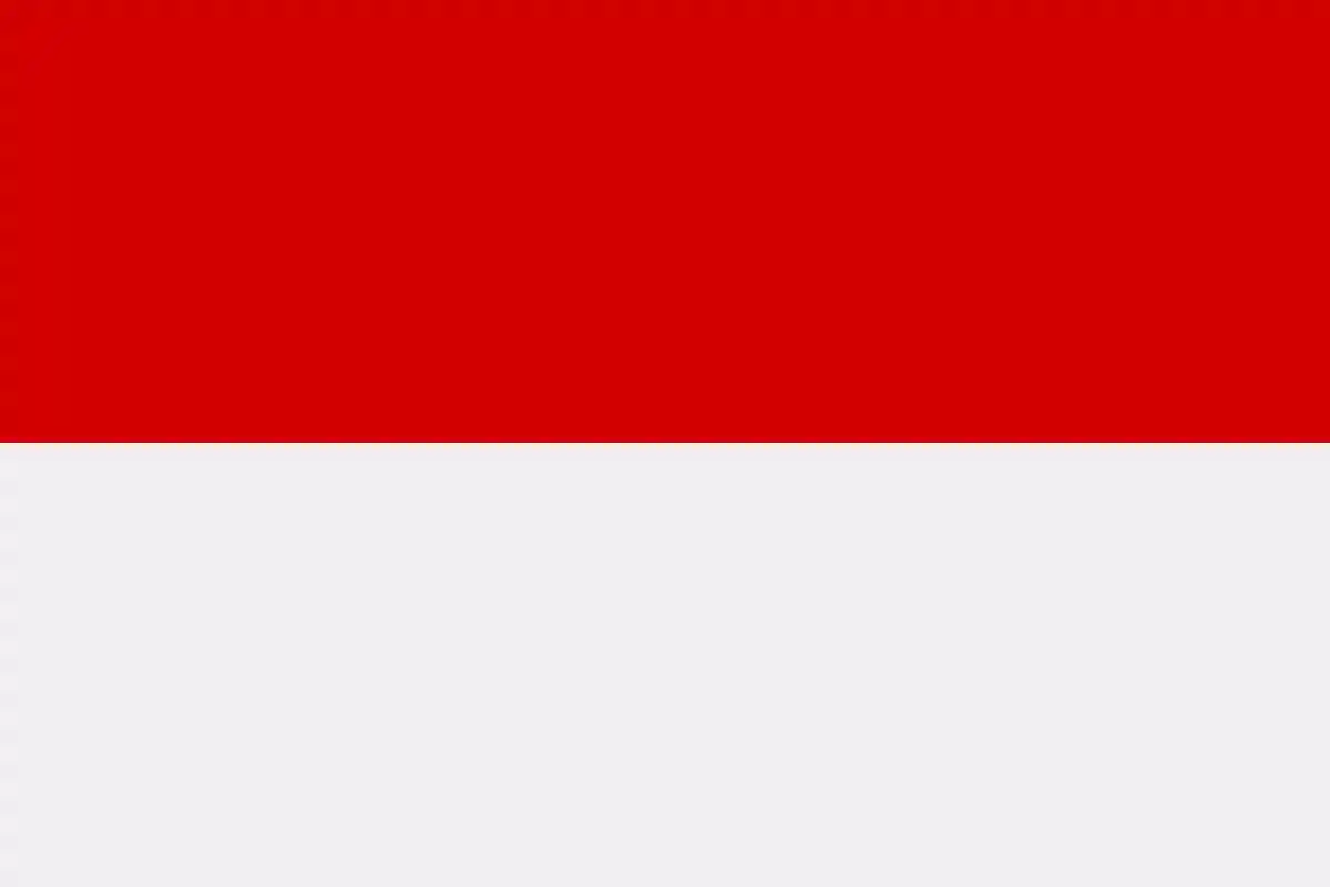 Флаг Гессена. Фото: wikipedia.org