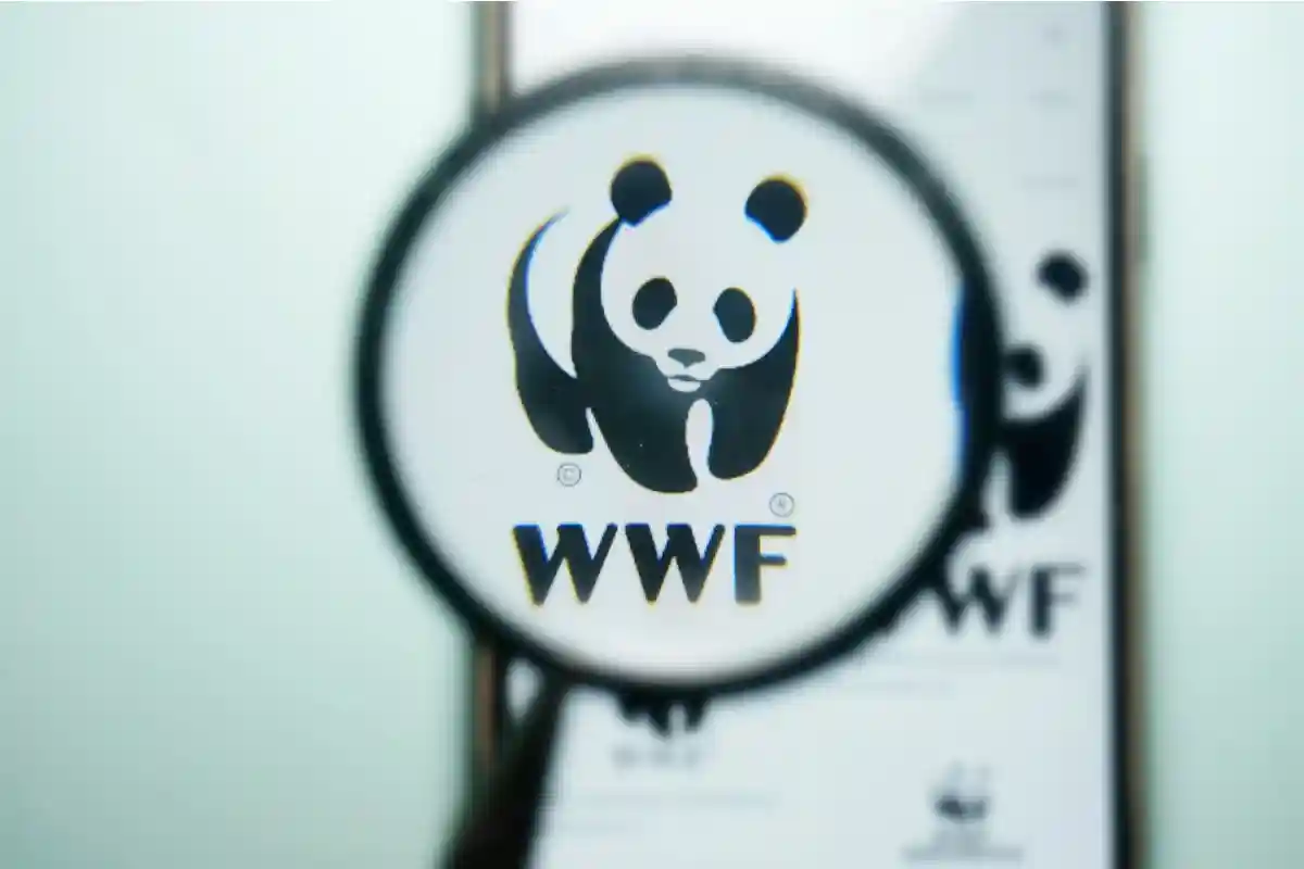 Всемирный фонд дикой природы (WWF). Логотип. Фото: 