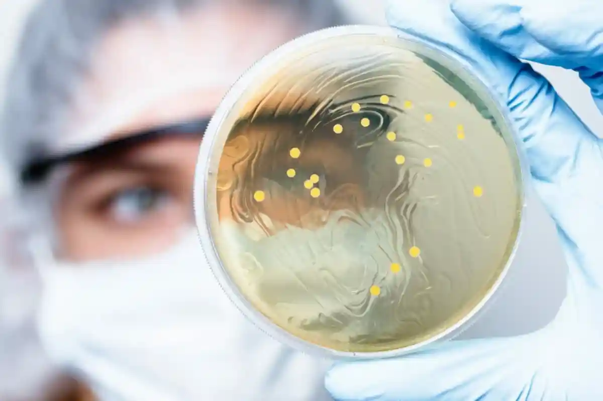 Патогенные бактерии в муке. Фото: NatalieIme / shutterstock.com