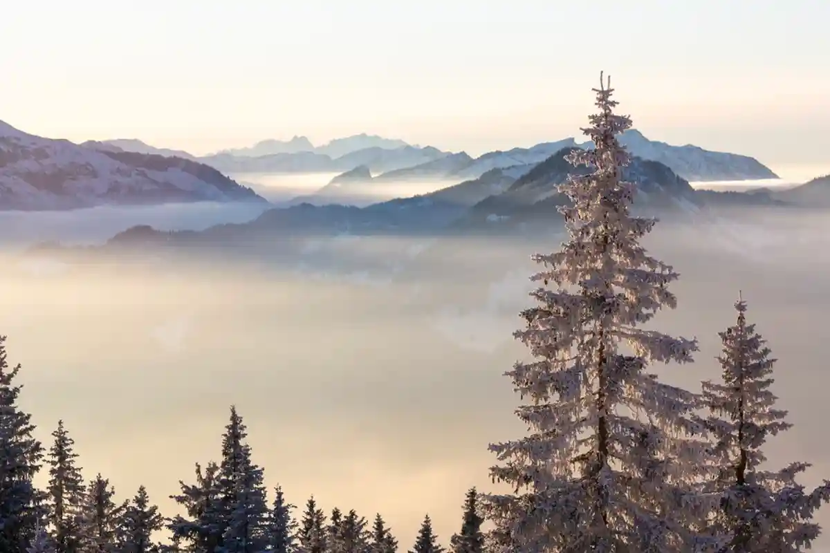  В Баварских Альпах 70 сантиметров свежего снега. Susanna Tervo / shutterstock.com