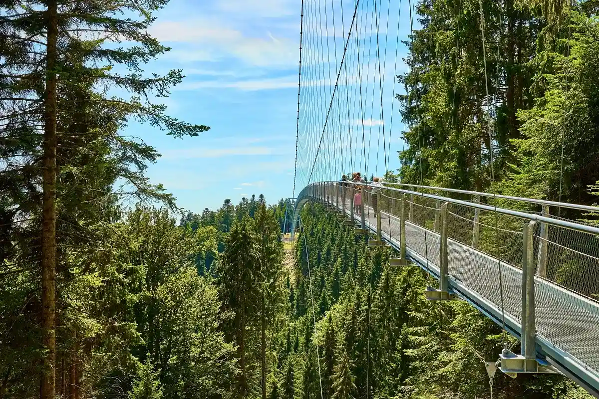 Wildline единственный подвесной мост в Европе, который изгибается вверх. Фото: marako85 / shutterstock.com