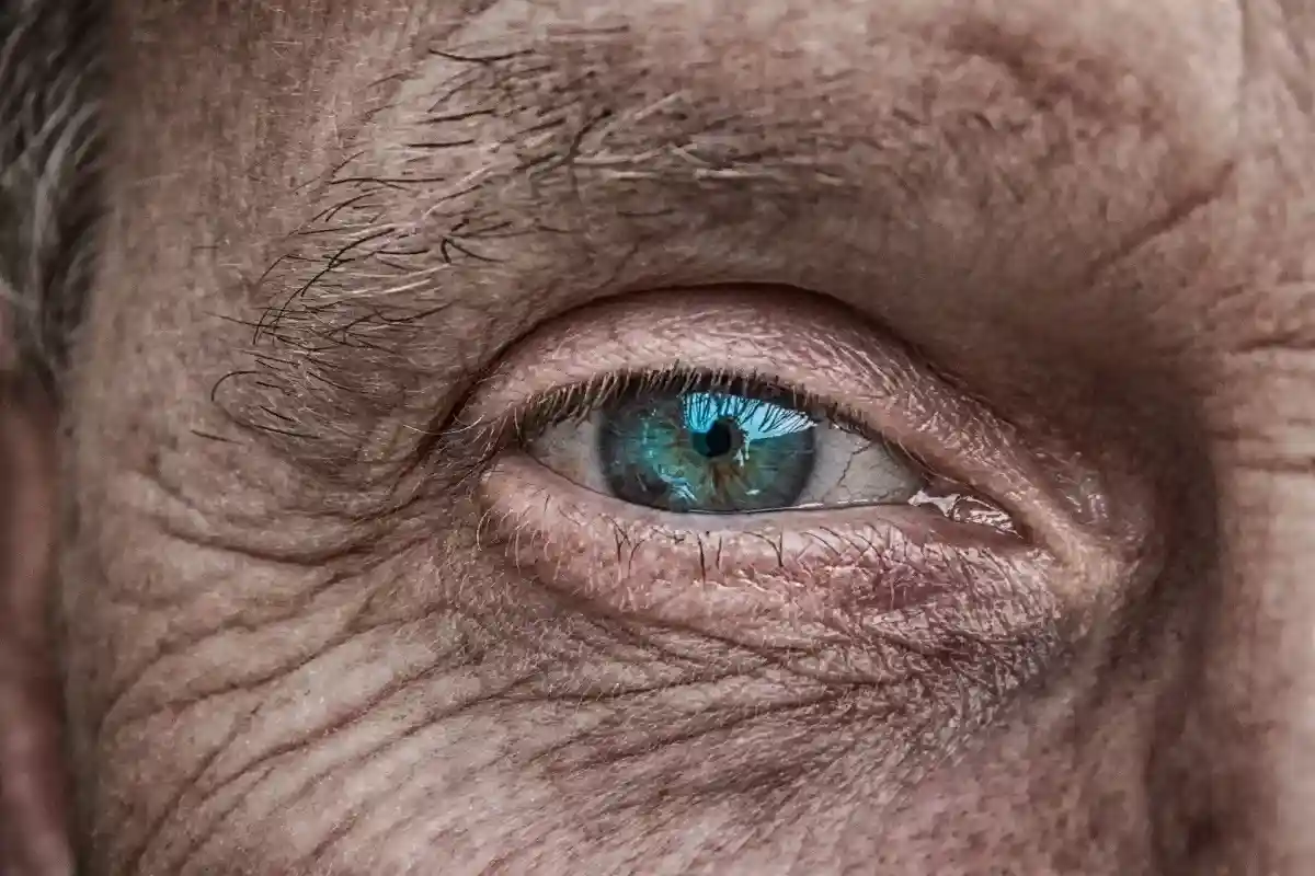 Глаз пожилого человека. Фото: analogicus / Pixabay.com