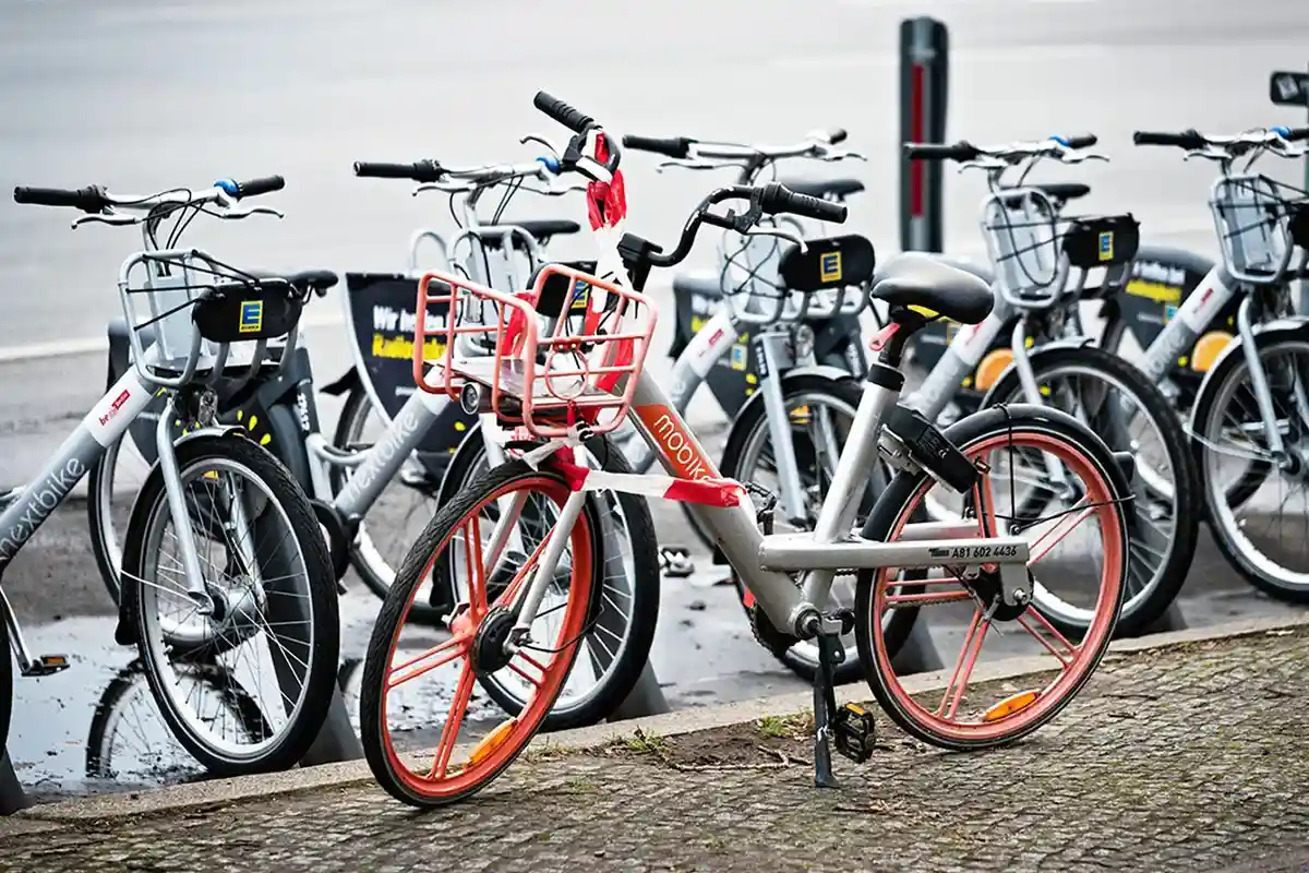 280 км в год: велосипедная сеть Берлина будет расти быстрее