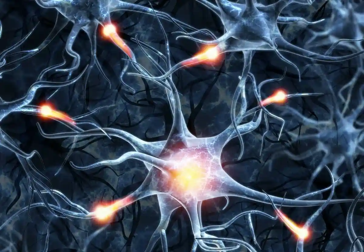 Передача сигналов удовольствия по нейронам. Фото: zen.yandex.ru