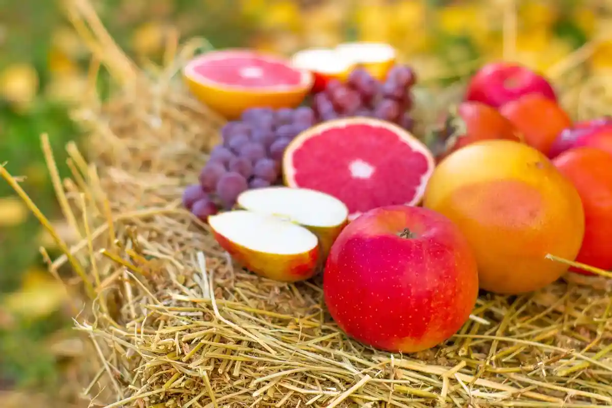 На этой диете полезны яблоки, виноград, цитрусовые, особенно грейпфрут. Фото: Maksimenko Taras / shutterstock.com