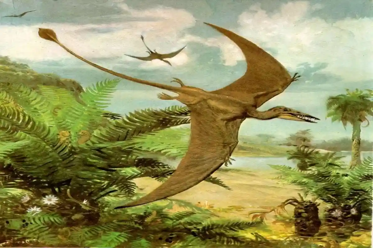 В Шотландии обнаружен скелет самого большого животного юрского периода - птерозавра