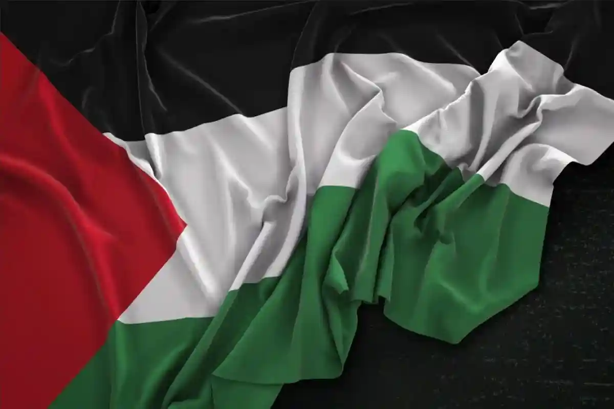 Флаг Палестины. Фото: @natanaelginting / ru.freepik.com