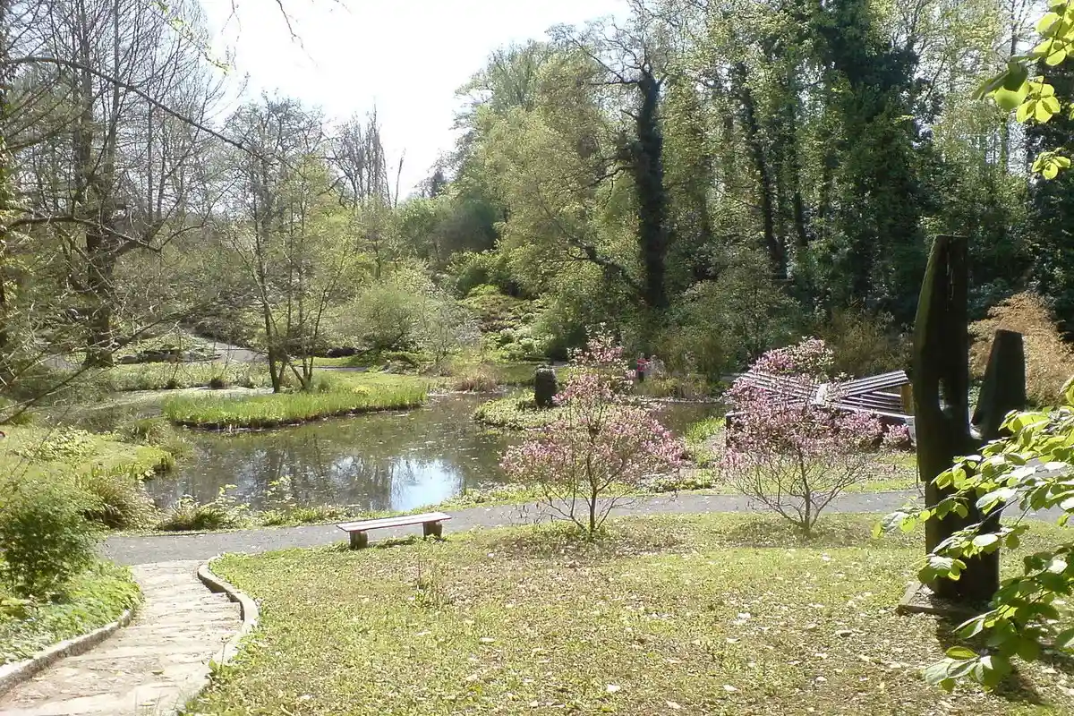 Ботанический сад университета. Фото: BenBenW / wikimedia.org