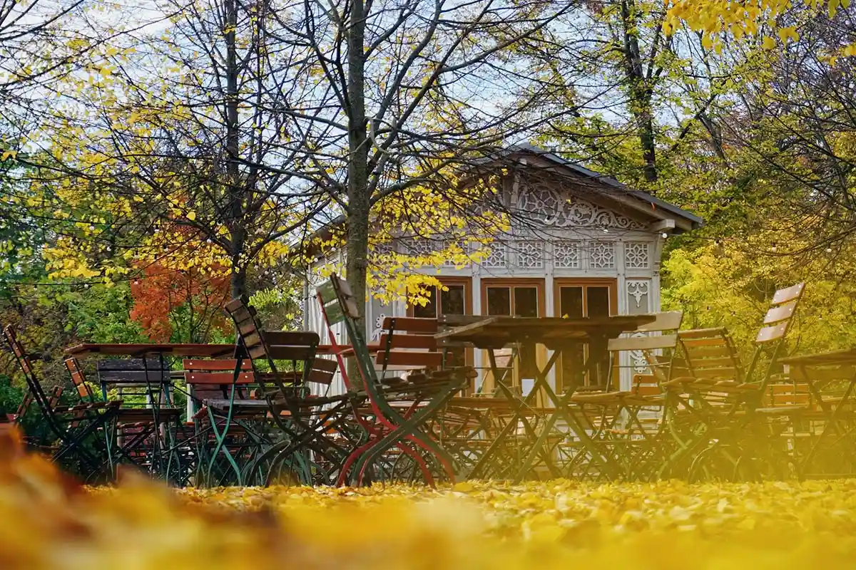 На земле Саксония-Анхальт мягкая зима, комфортная осень и весна и теплое лето. Фото: Maheshkumar Painam / unsplash.com