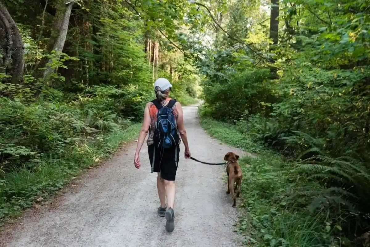 Неправильный выгул собак вредит природе. Фото: Stephen Goldberg / unsplash.com