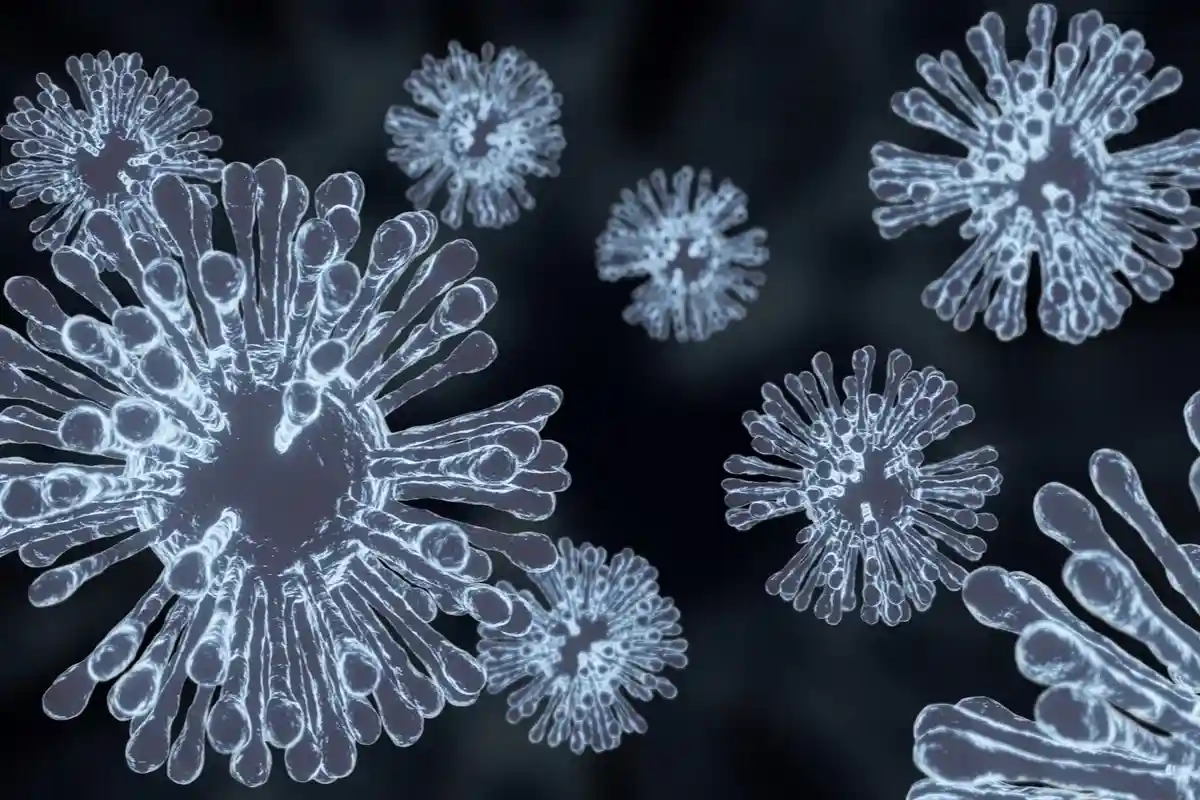 3d иллюстрация вируса гриппа H5N1 Фото: kan_chana / Shutterstock.com