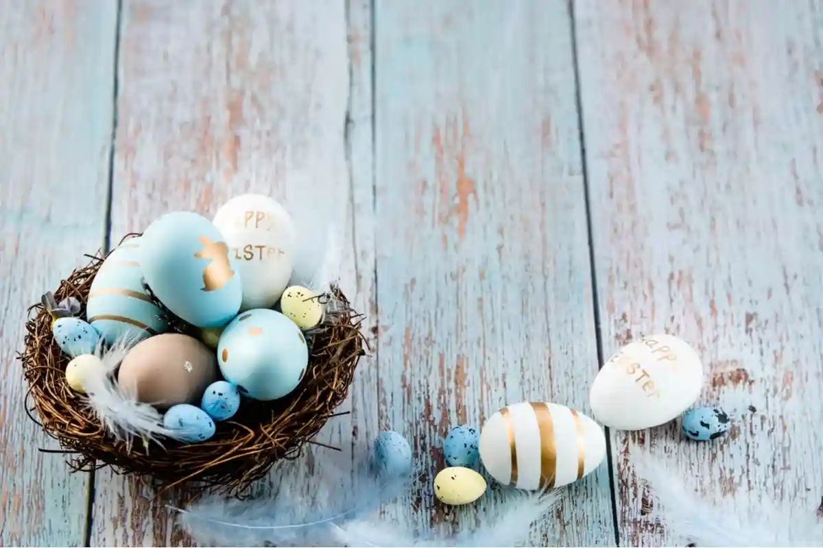 Дефицит яиц в Германии. Фото: PhotoJuli86 / Shutterstock.com