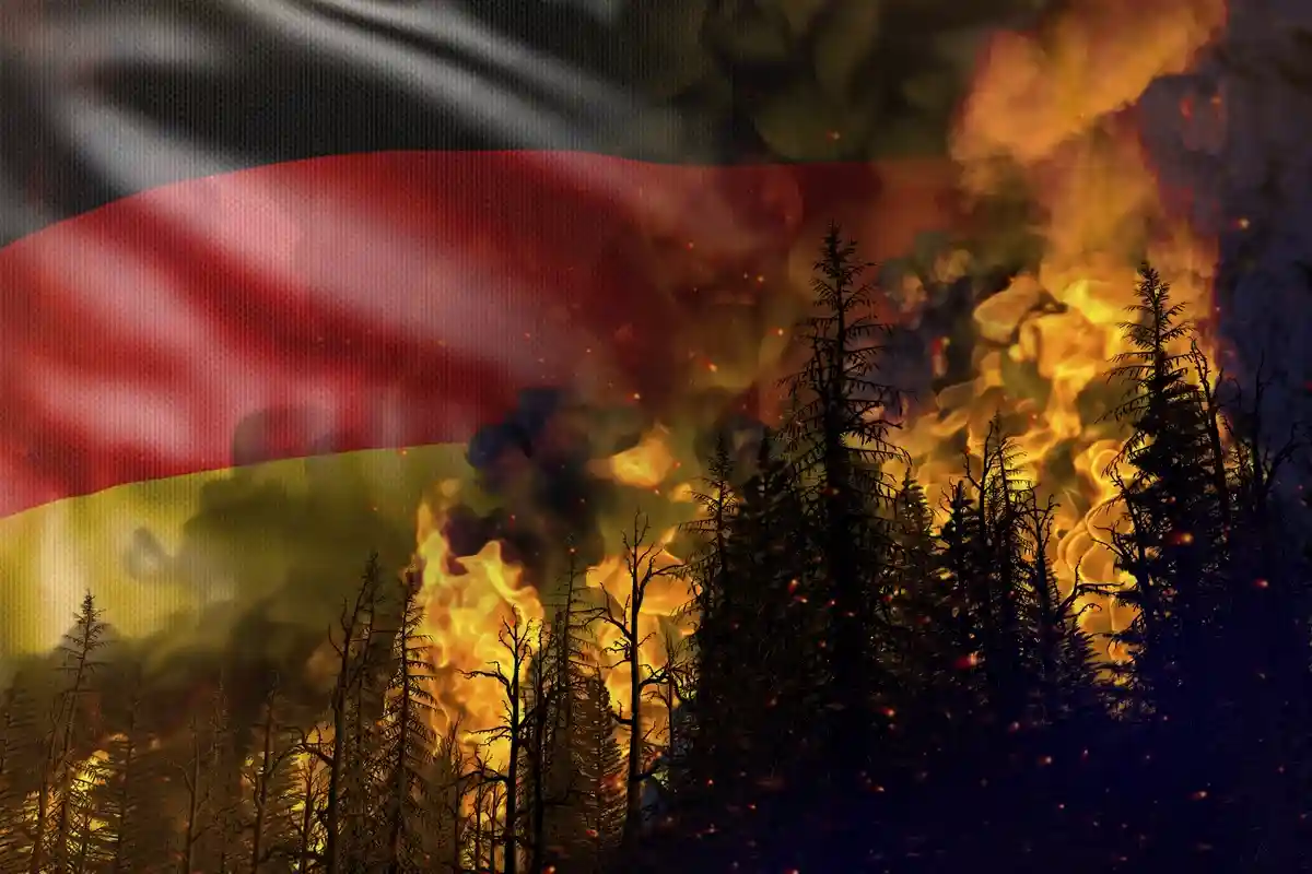 Лесной пожар в Германии