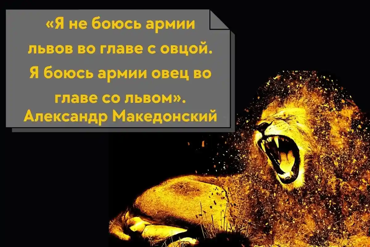 Александр Македонский о львах и овцах. Фото: Olga Vikulova / canva.com