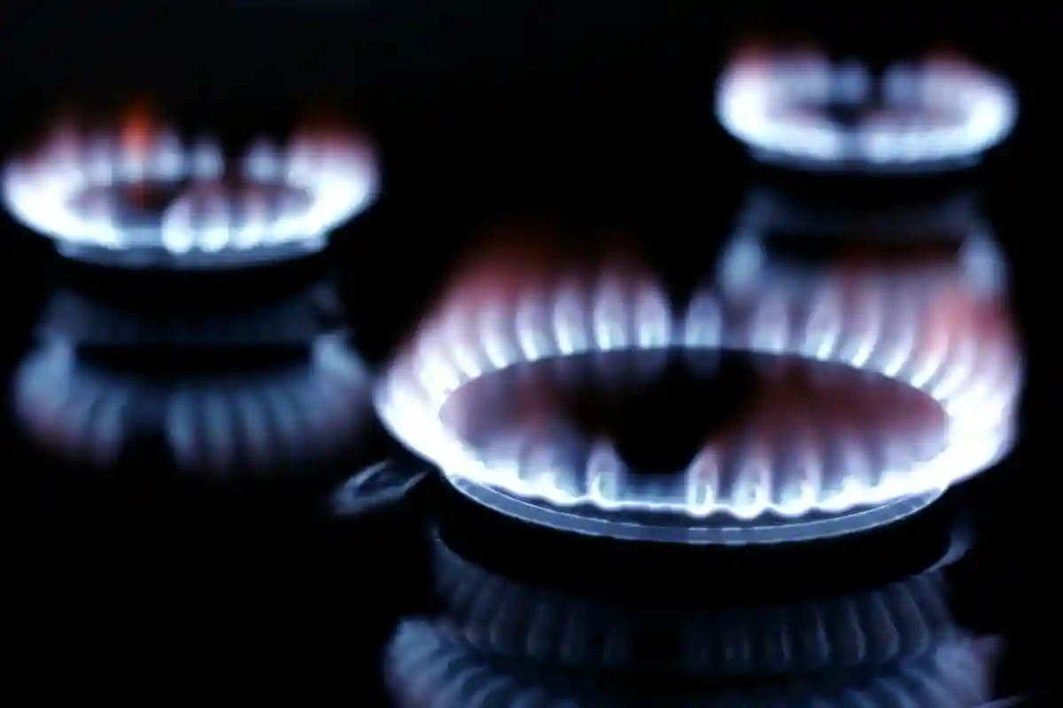 Германия начала закупки газа в обход России. Однако при этом страна получает и российские поставки энергоносителей. Фото: Steve Humphreys / Shutterstock.com