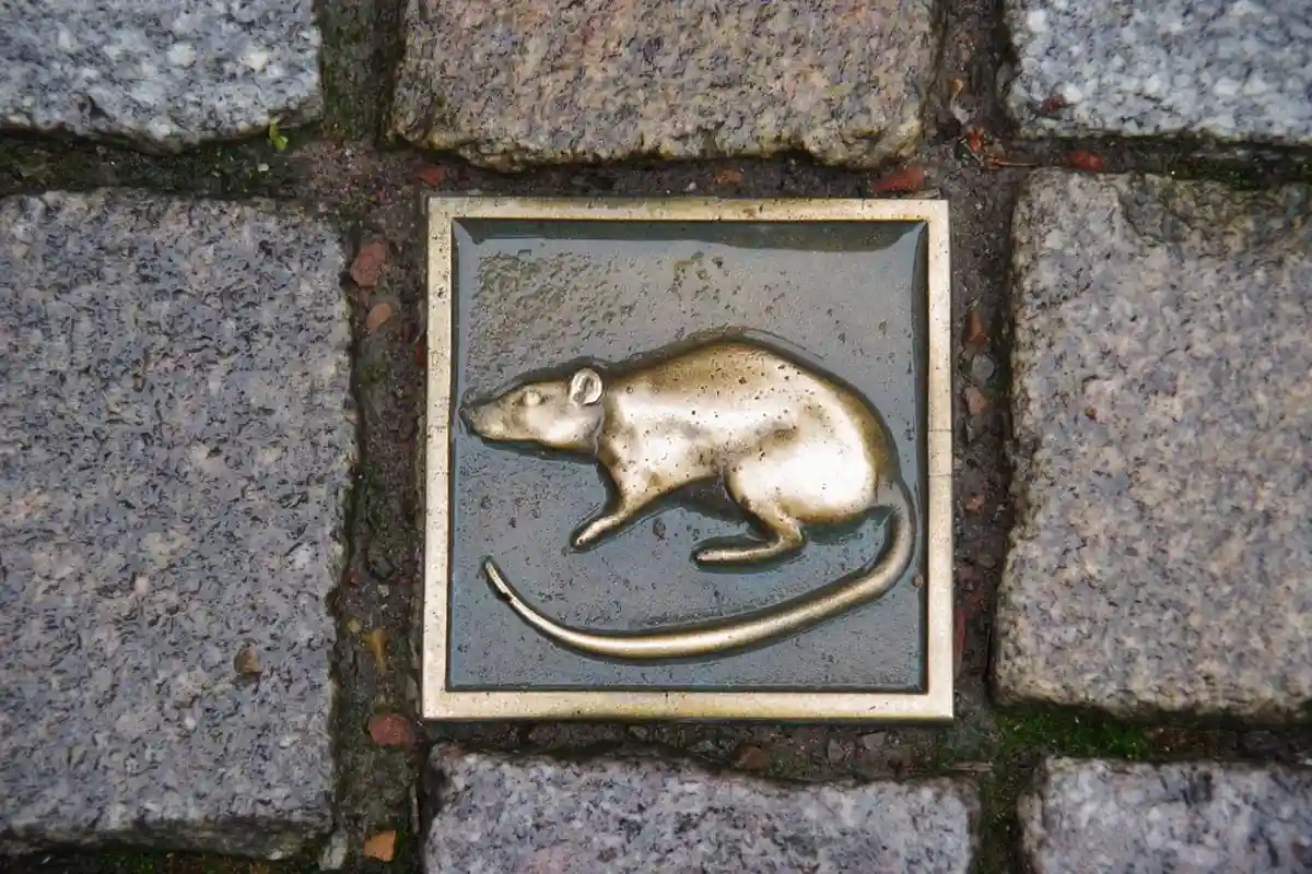 Металлическая крыса – символ города. Фото troika 