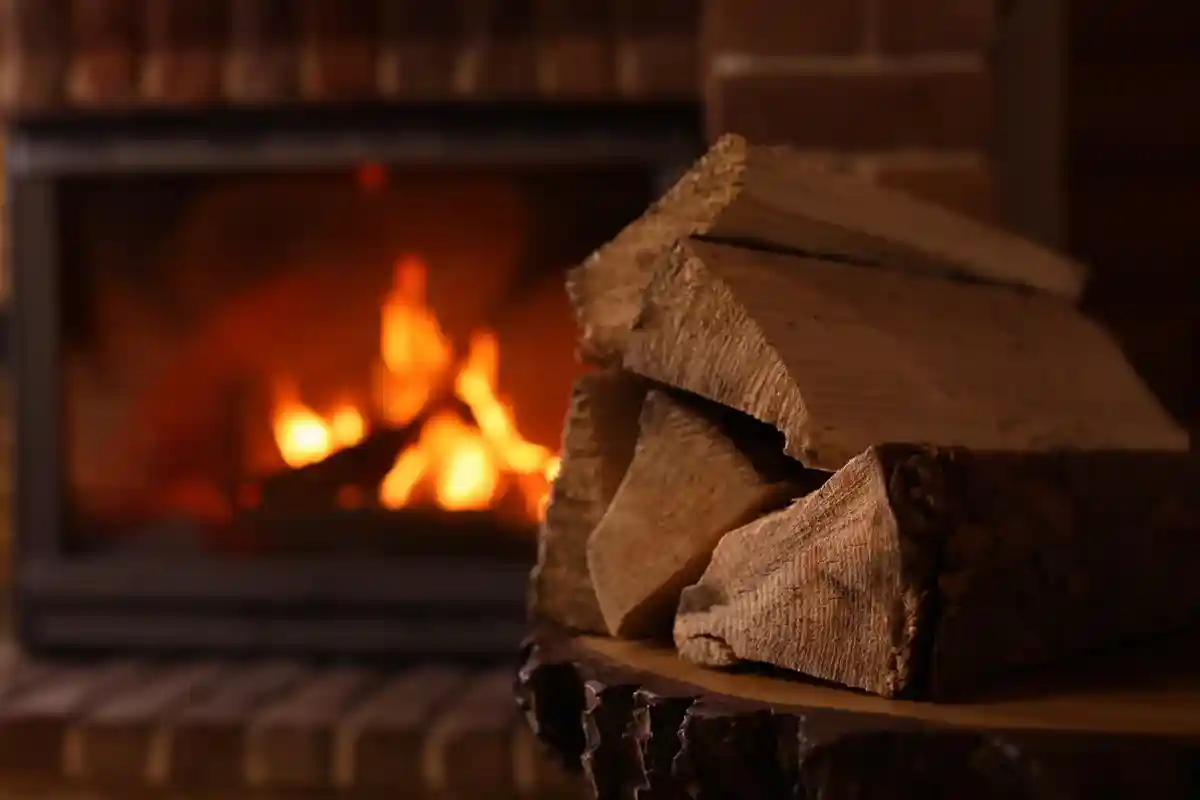 Отопление дровами требует места для дров Фото: New Africa / Shutterstock.com
