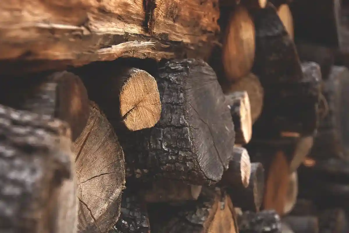 Отопление дровами: как понять хорошего ли они качества?