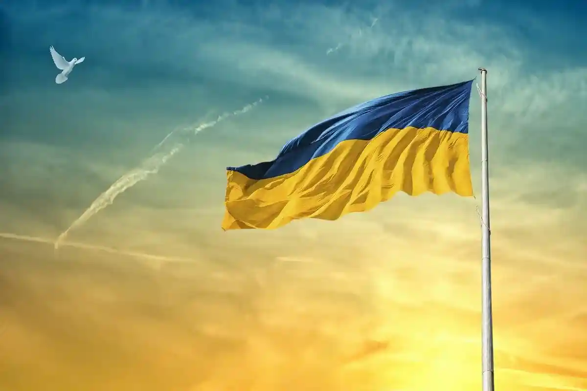 Сколько немцев за вступление Украины. Фото: ELG21 / pixabay.com