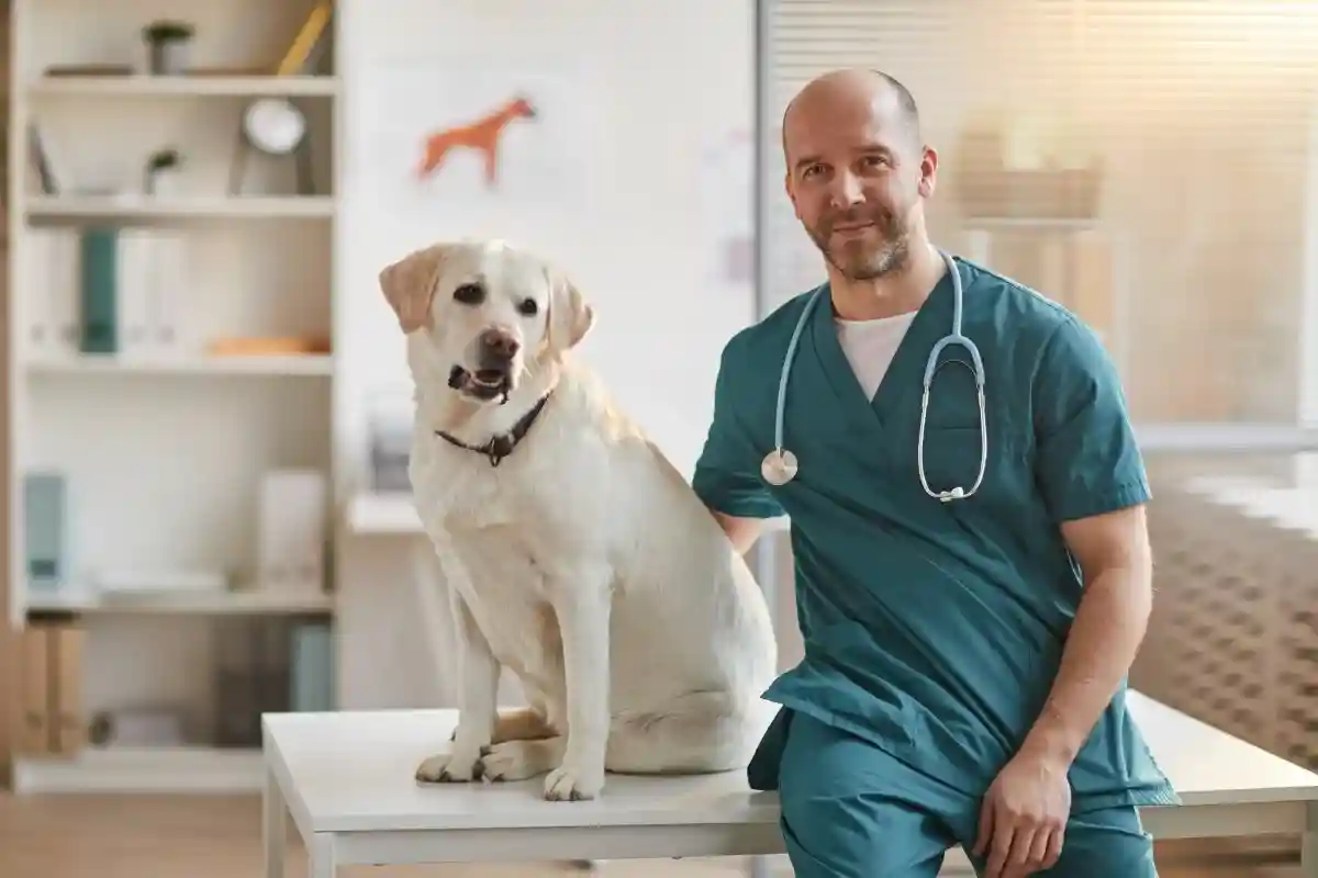 Собаки-терапевты могут принести облегчение пациентам отделения неотложной помощи