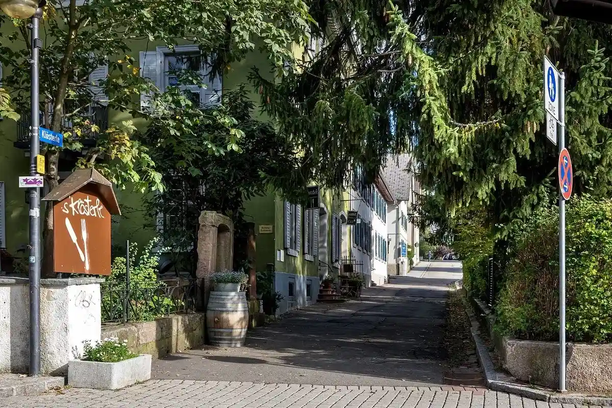 Самая старинная улица в городе Титизее-Нойштадт. Фото: joergens.mi / wikimedia.org