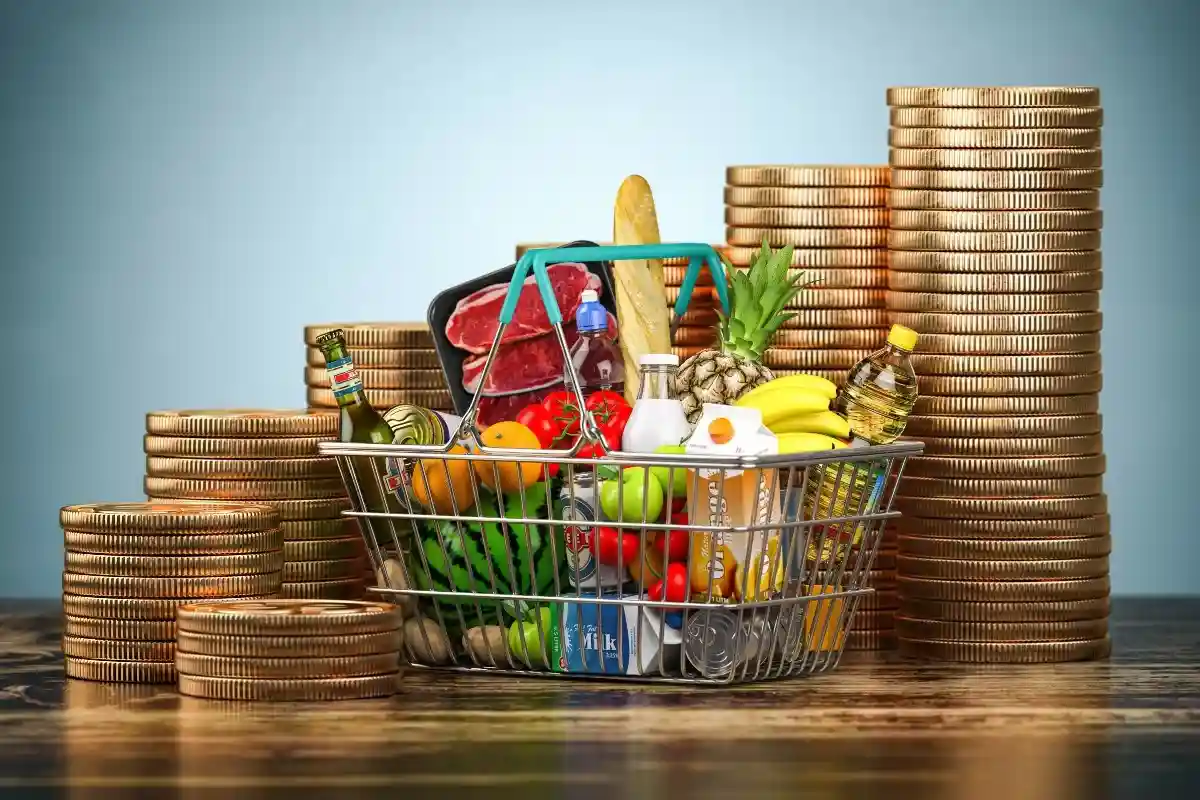 Расходы на продукты питания вырастут до 360 евро в год. Фото: Maxx-Studio / Shutterstock.com