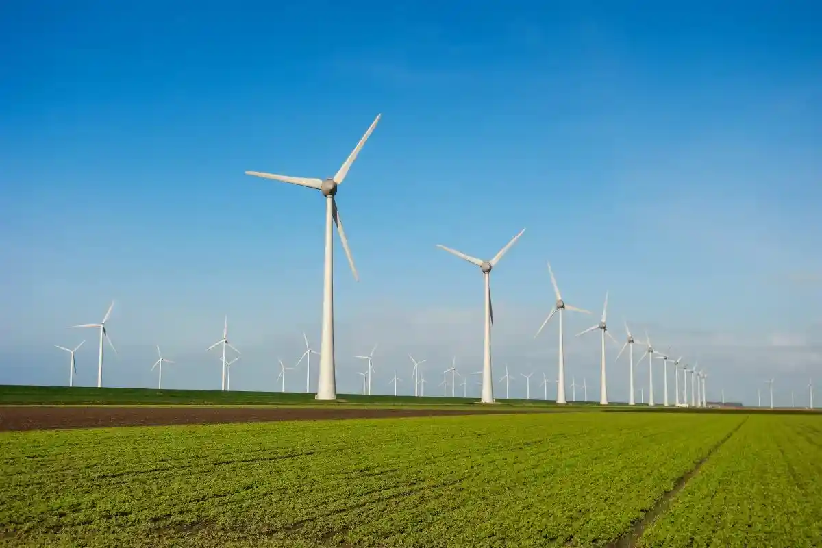 Ветряные турбины, биогазовые и фотоэлектрические установки будут поставлять электроэнергию для производства Н2. Фото: fokke baarssen / shutterstock.com