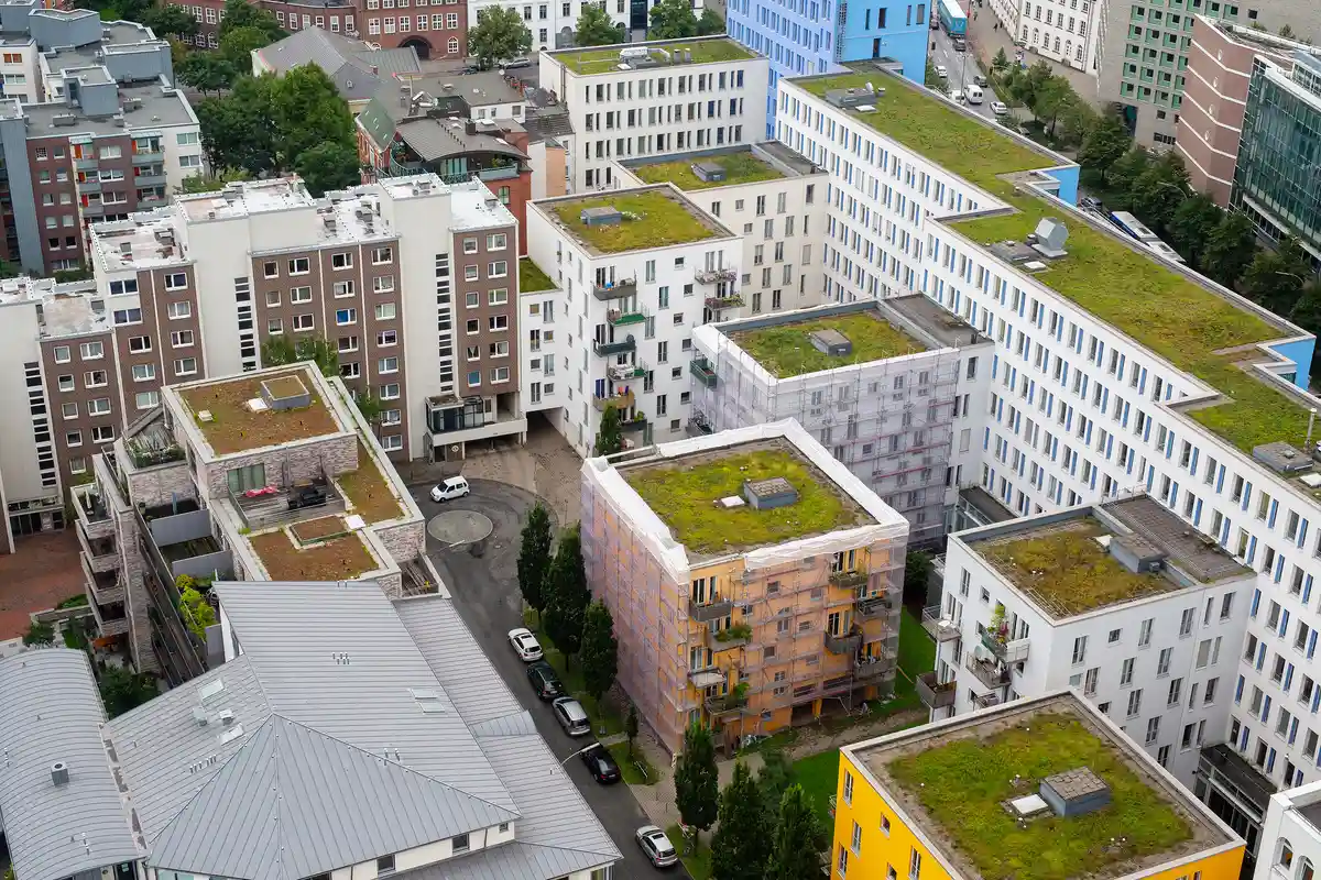 Зеленые крыши в Берлине появятся не скоро. Скорее всего, к 2024 году. Фото: Aleksey Dushutin / Shutterstock.com.