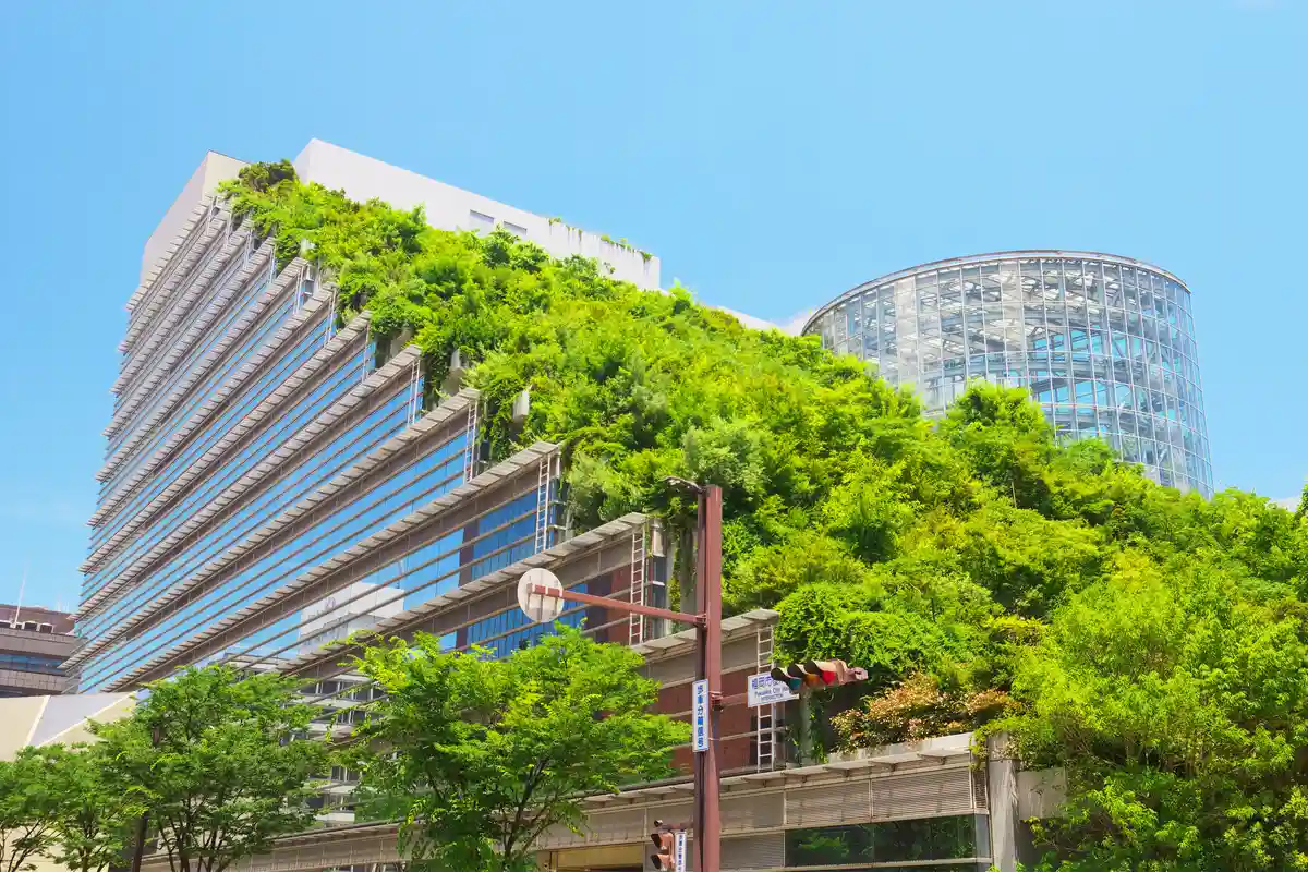 "Зеленые крыши" в Берлине станут обязательны к 2024 году
