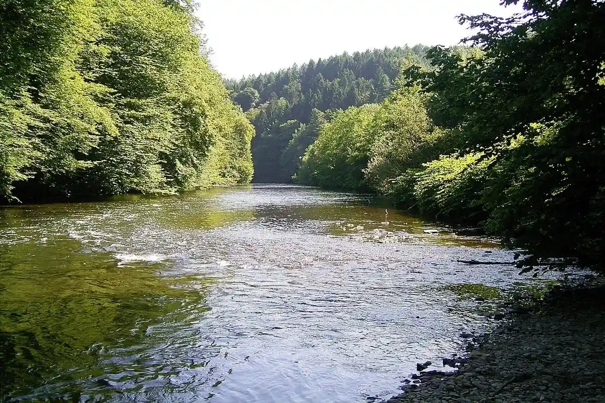 Река Вуппер в окрестностях города Золинген. Фото: Frank Vincentz / wikimedia.org
