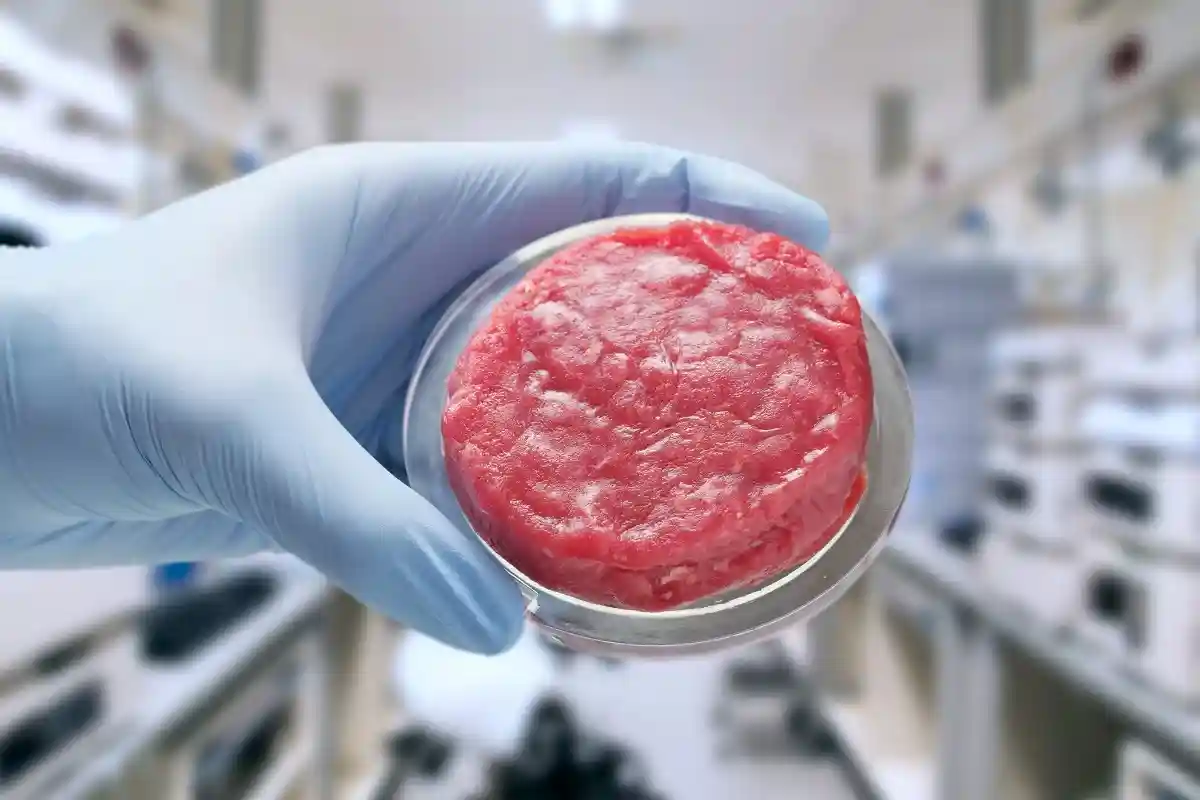 Несмотря на то, что производство мяса in vitro возможно, пока не существует процесса, позволяющего производить мясо in vitro в больших масштабах. 