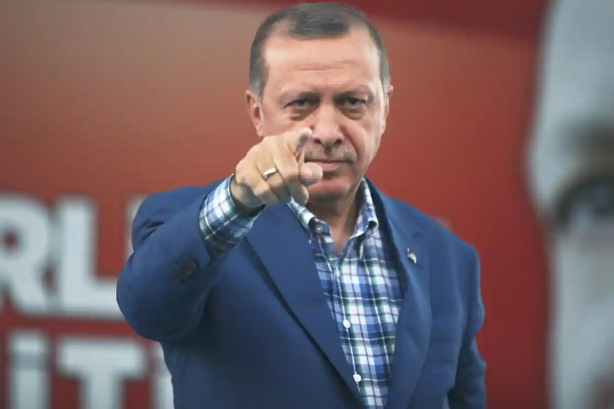 Эрдоган призвал Путина к здравому смыслу. Фото: kafeinkolik / Shutterstock.com
