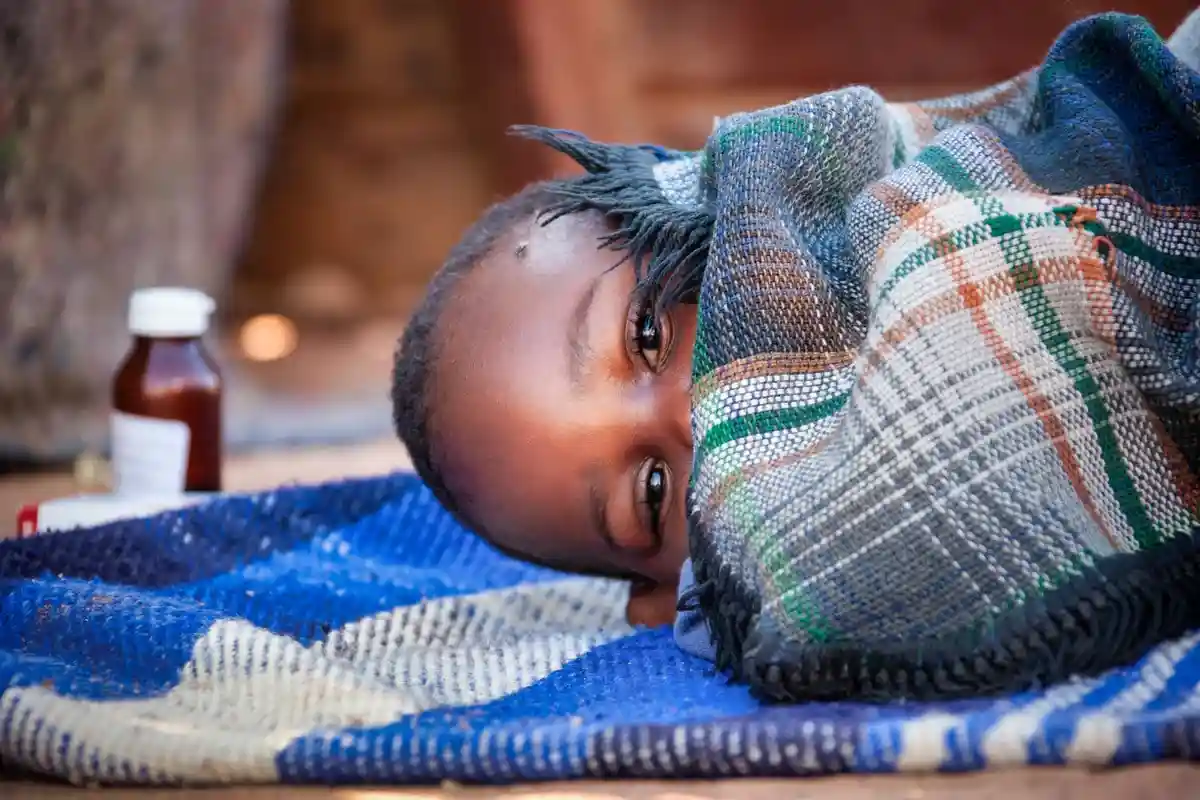 Массовый всплеск малярии. Фото: Lucian Coman / Shutterstock.com