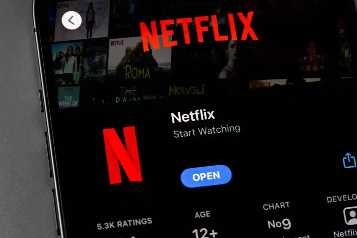 Netflix — это ведущий международный сервис подписки на просмотр телепередач и фильмов Фото: Primakov / Shutterstock.com