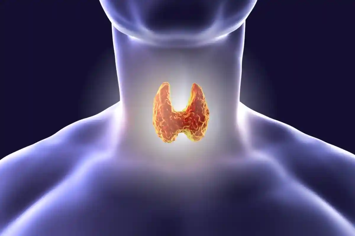 Боль в горле может быть симптомом воспаления щитовидной железы. Фото: Kateryna Kon / Shutterstock.com