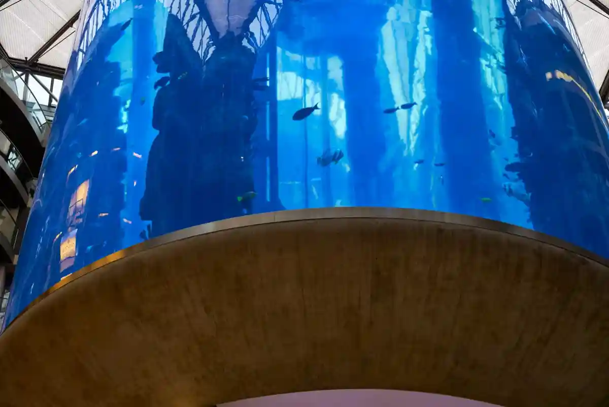 Цилиндрический аквариум в Берлине. Фото: LuisPinaPhotography / www.shutterstock.com