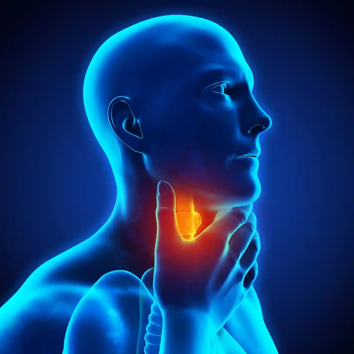 Распространенными жалобами являются боли в горле и шее, которые могут иррадиировать в нижнюю челюсть и область ушей.. Nerthuz / shutterstock.com 