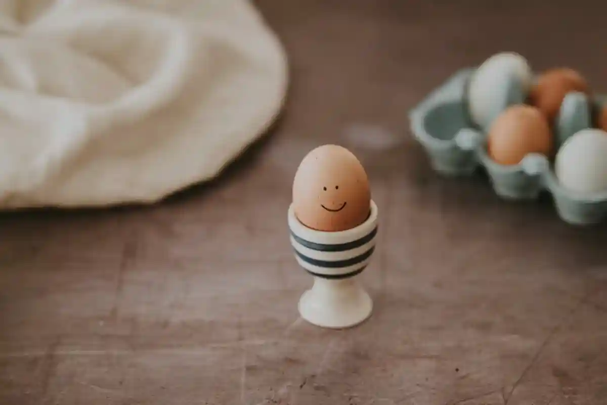 Факты о куриных яйцах, которые вы не знали