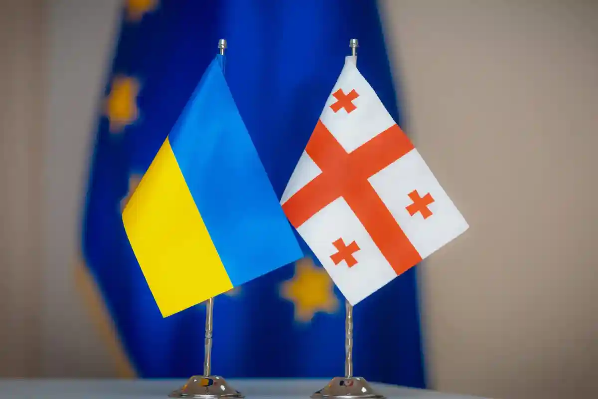 Украина обвинила Грузию в помощи РФ в обходе санкций. Фото: Ioseb Sumbadze / Shutterstock.com