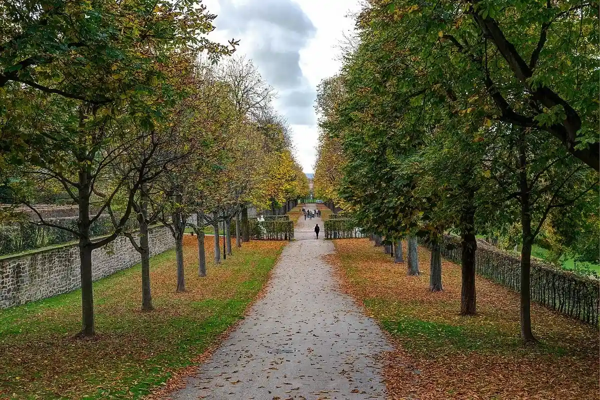 Парковая зона возле замка в городе Фульда. Фото: Steffen Schmitz / wikimedia.org