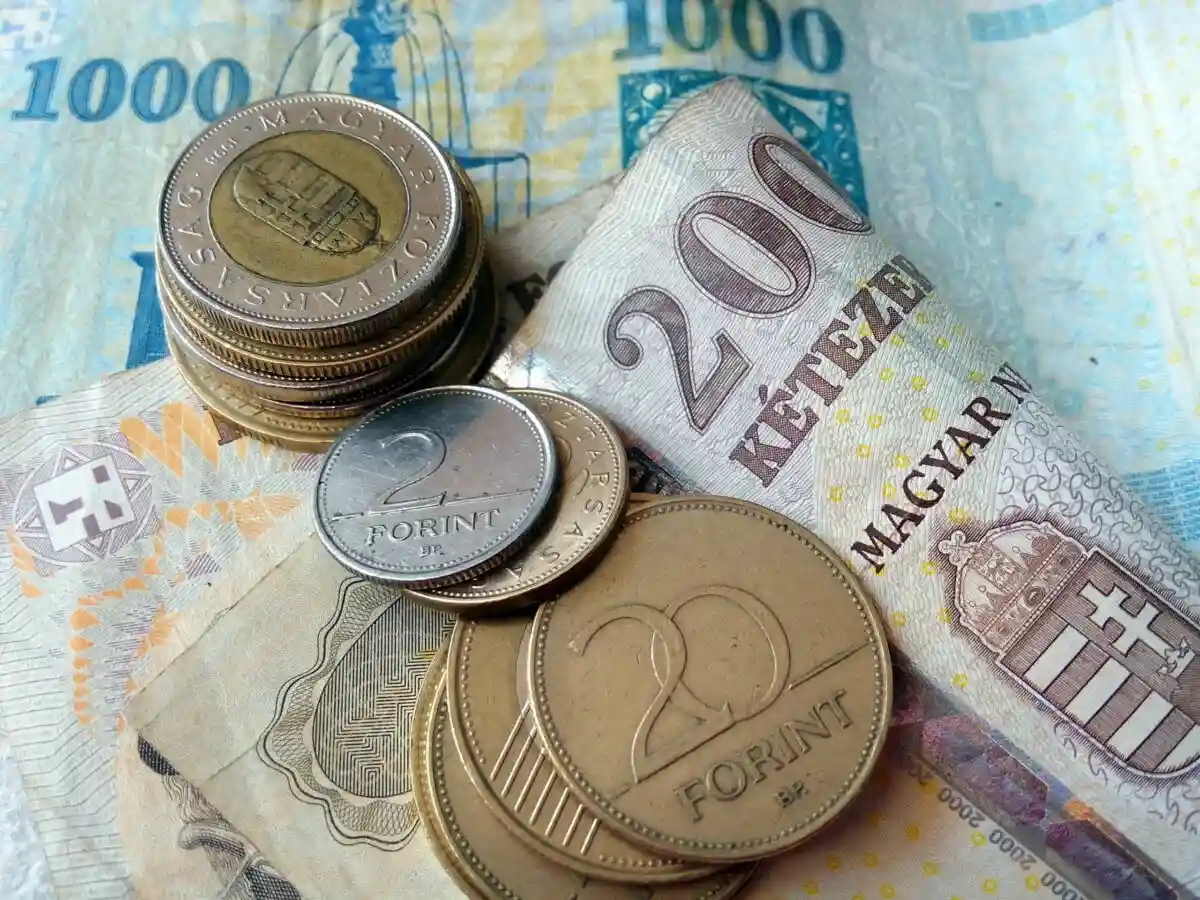 Инфляция в Венгрии: vеры по борьбе. Фото: Adriana Iacob / shutterstock.com