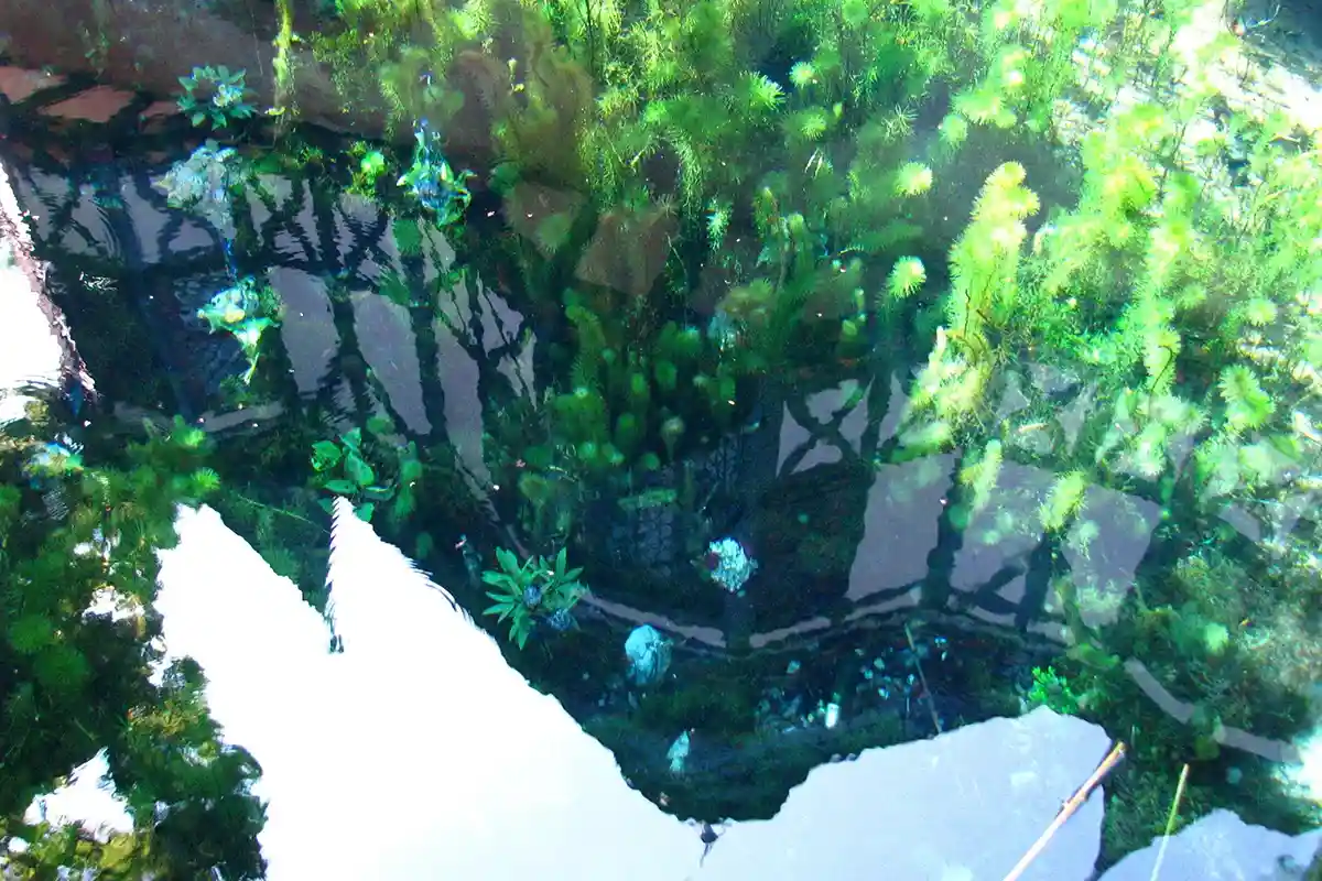 Отражение фонтанного дома в источнике с сосновыми верхушками в глубине выглядит очень таинственно. Фото Wikimedia