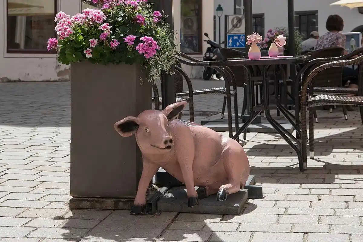Ходят слухи, что в давние лихие времена свинюшки спасли город от вражеского налёта, но подробностей никто уже не помнит. Фото MirasWonderland