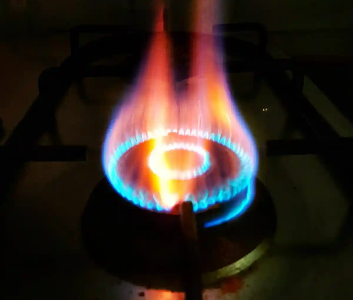 Глава набсовета Eon: сперва отключить газ частным домохозяйствам. Фото: Pruthvi Sagar A R/Unsplash.com