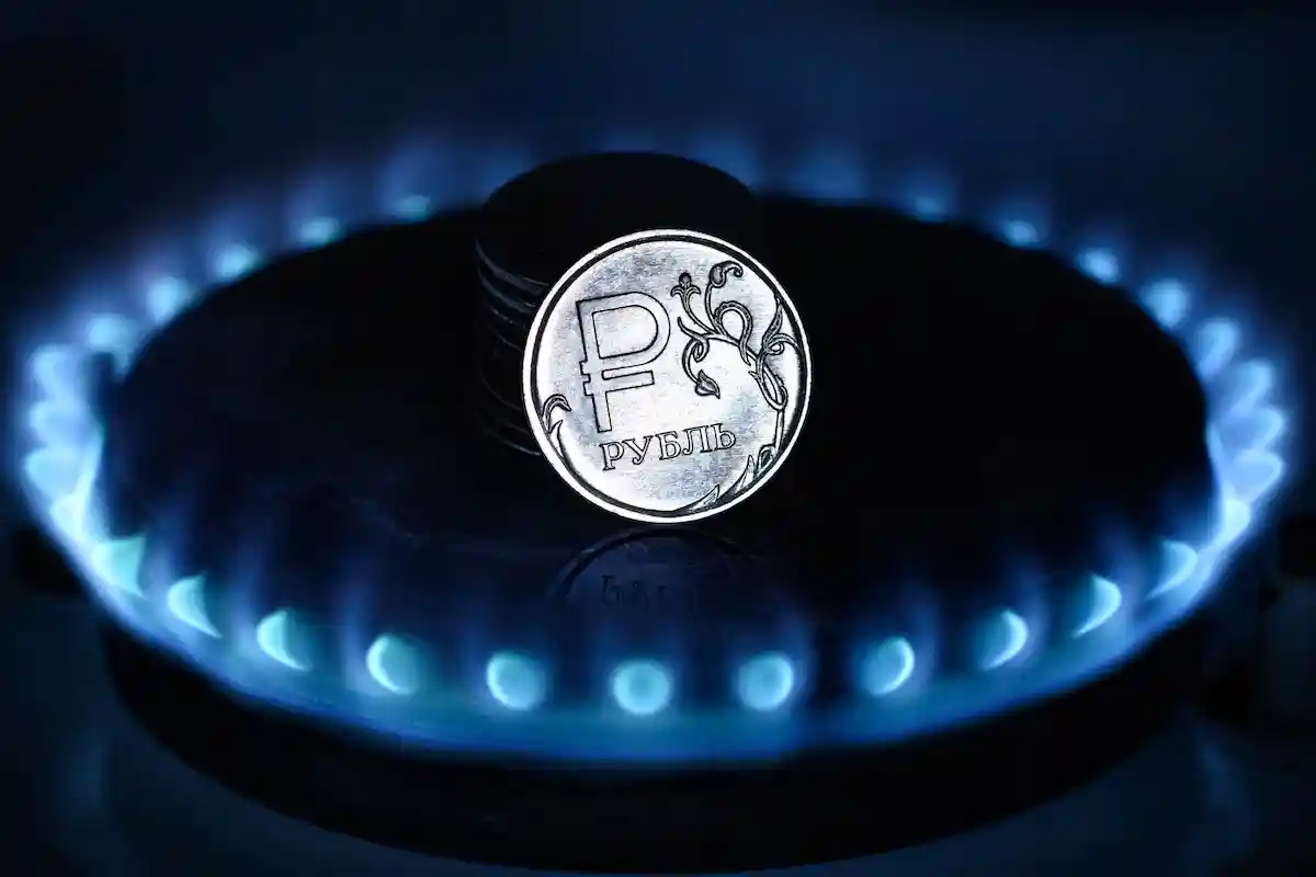Требование оплачивать газ рублями вынуждает Германию предпринимать ответные действия. Фото: Viacheslav Lopatin / shuttetstock.com