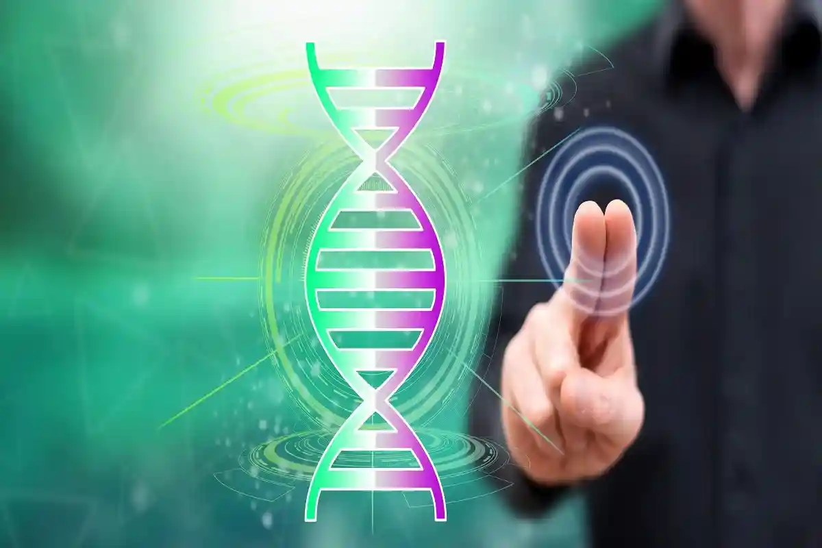 Коррекция ДНК. Фото: thodonal88 / Shutterstock.com